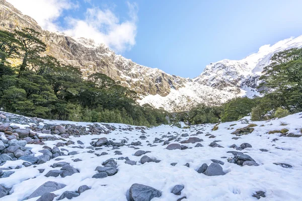 Neve Con Sfondo Montagna — Foto Stock