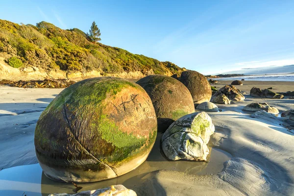 Grande Pierre Rocher Moeraki Nouvelle Zélande — Photo