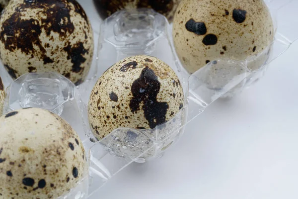 Японские Перепелиные Яйца Питание Здоровье — стоковое фото