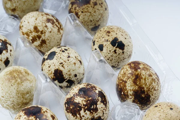 Японские Перепелиные Яйца Питание Здоровье — стоковое фото