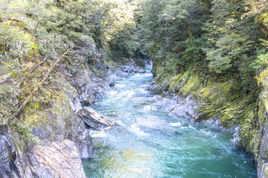 Mavi havuzu nehir Queentown, Yeni Zelanda