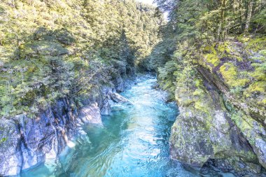 Mavi havuzu nehir Queentown, Yeni Zelanda