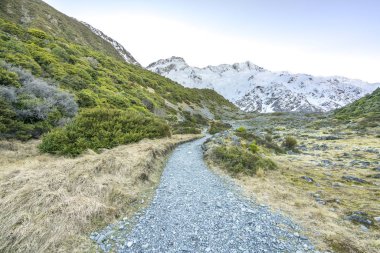 tussock fahişe Valley, önde gelen aoraki mount cook, Güney Alpler'in en yüksek tepe, simge Yeni Zelanda için kısmen parça bölümü ile iz bulutlarda kaplı