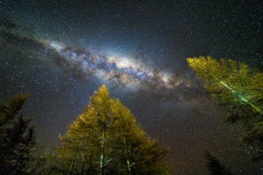 Samanyolu Yıldızı