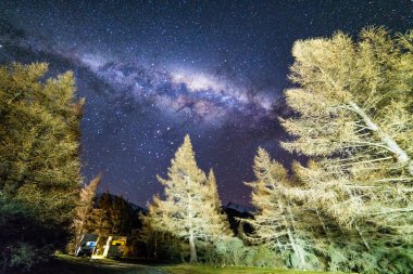 Samanyolu Yıldızı