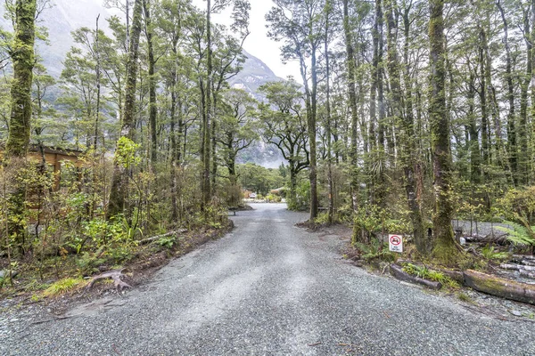 Campingen Tillgång Milford Sound Nya Zeeland — Stockfoto