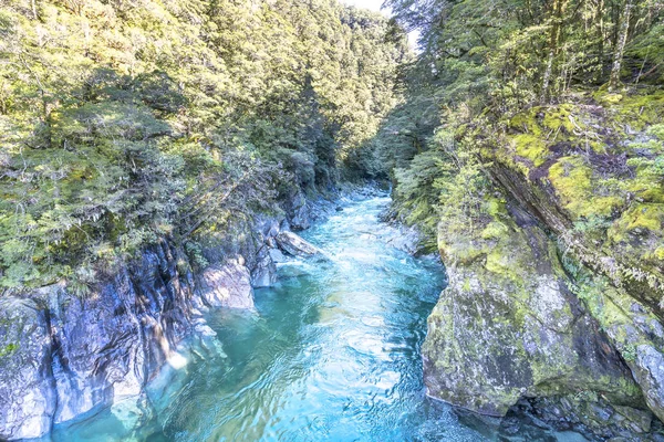 Mavi havuzu nehir Queentown, Yeni Zelanda