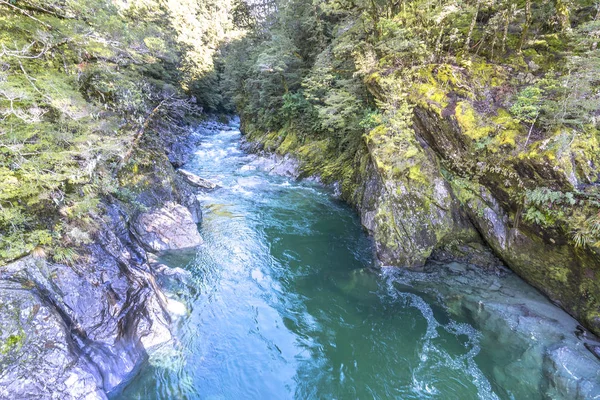 Mavi havuzu nehir Queentown, Yeni Zelanda