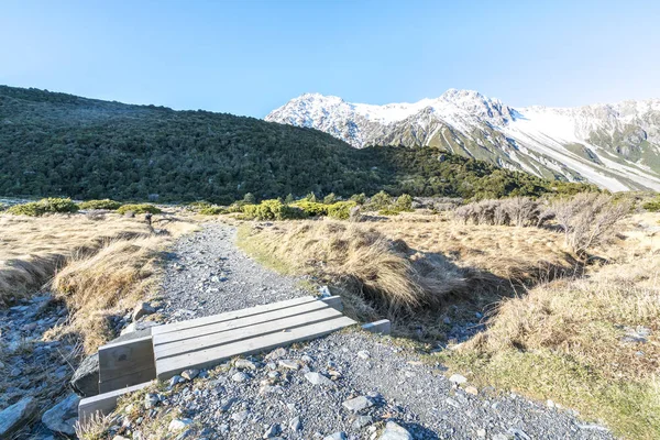 Track Mount Cook National Park New Zealand — Stock Photo, Image