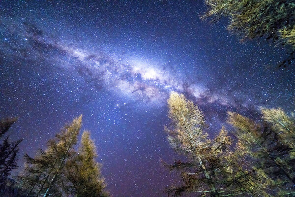 Млечный путь
