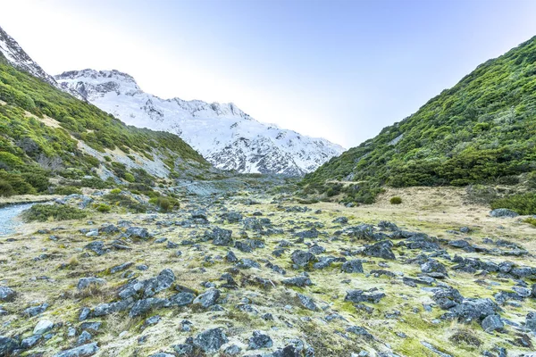 Rock with mount cook background — Stock Image Rock Mount Cook Background Stock Image