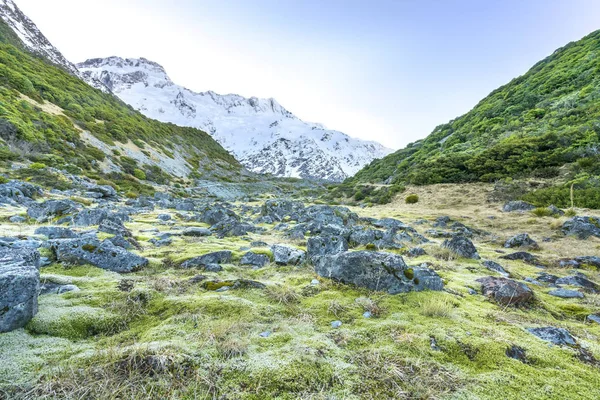 Rock with mount cook background — Stock Image Rock Mount Cook Background Stock Picture