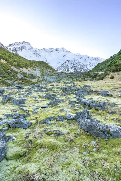 Rock with mount cook background — Stock Image Rock Mount Cook Background Stock Picture