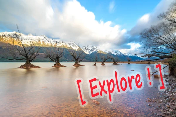 Famous Willow Trees Glenorchy New Zealand — Stock Photo, Image