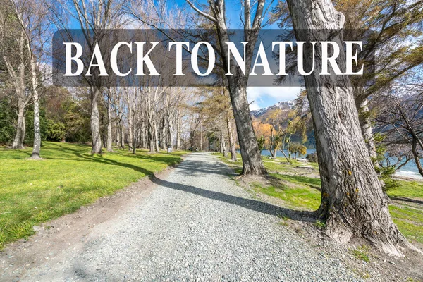 Trilha Corrida Com Luz Solar Manhã Natureza Lago Wanaka Nova — Fotografia de Stock