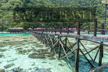 Boghey Dulang adasında ahşap iskele ve mercanlar, Sabah, Malezya