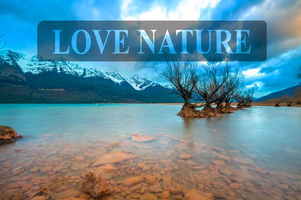 Les Célèbres Saules Glenorchy Nouvelle Zélande — Photo