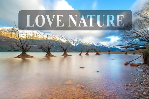 Les Célèbres Saules Glenorchy Nouvelle Zélande — Photo