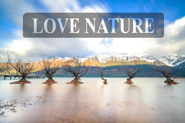 Ünlü Söğüt Ağaçları Glenorchy Yeni Zelanda — Stok fotoğraf