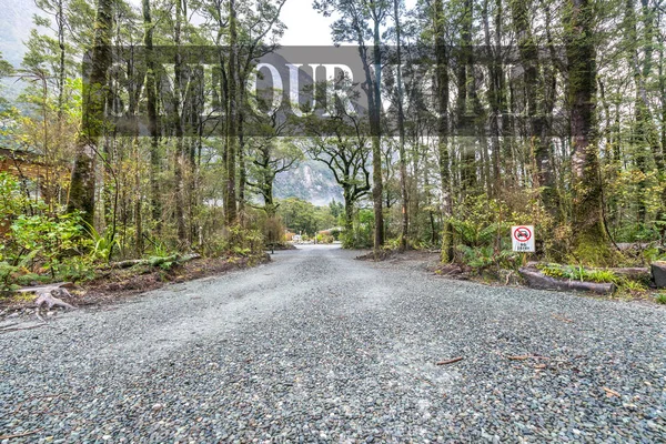 Acceso Camping Milford Sound Nueva Zelanda —  Fotos de Stock