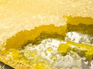 Seçici odak ile tatlım ve görünümü Kapat.