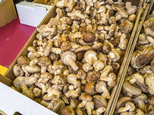 Heaps of mushrooms for sale at farmers market. Shallow depth of field
