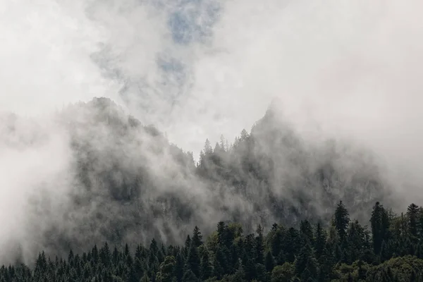 Misty mountains silhouettes