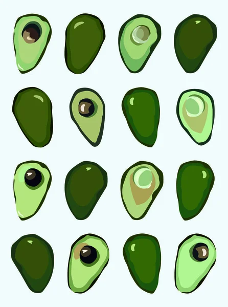 Avocado Een Hele Avocado Plakjes Gesneden Een Halve Avocado Met — Stockvector