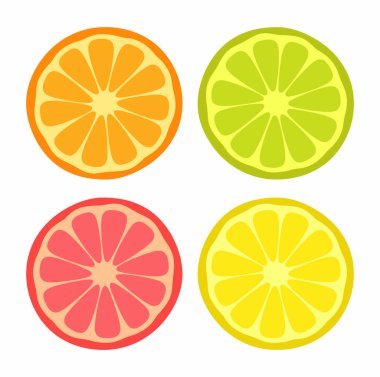 Orange, lemon, lime, grapefruit. Collection of citrus slices. Set of icons isolated on white background. Vector illustration. Set of citrus exotic tropical fruits. Summer fruit icons. Fruit background
