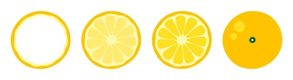 Naranja Mandarina Pomelo Limón Lima Sobre Fondo Blanco Ilustración Vectorial — Archivo Imágenes Vectoriales