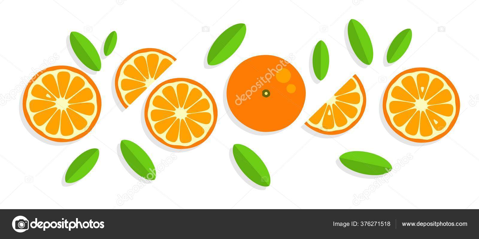 オレンジの背景 オレンジ色のみかんグレープフルーツレモンライム 夏の果物や柑橘類のベクトルイラスト 柑橘類のアイコンやシルエット かわいい絵のオレンジ  熱帯果実 ストックベクター ©Aleksandra__khv 376271518, image size:1600x801