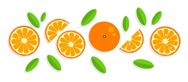 Orange Background Orange Tangerine Grapefruit Lemon Lime White Background Vector — Stock Vector