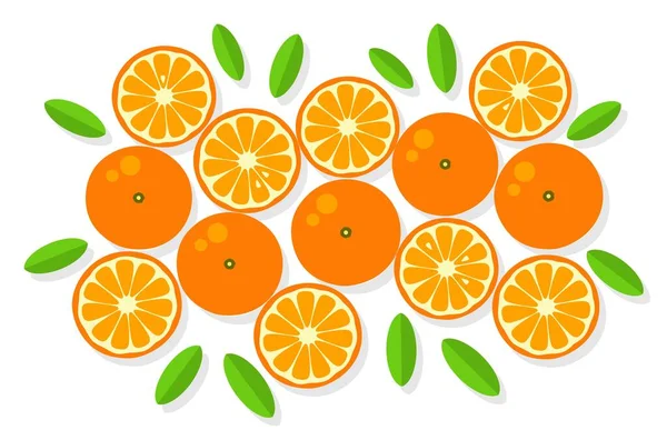 Fond Orange Orange Mandarine Pamplemousse Citron Vert Sur Fond Blanc — Image vectorielle