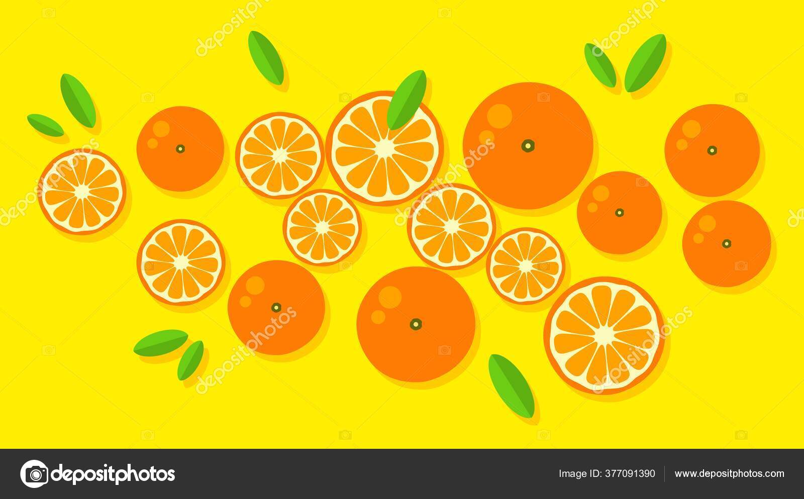 オレンジの背景 オレンジみかんグレープフルーツレモンライム黄色の背景に 夏の果物や柑橘類のベクトルイラスト 柑橘類のアイコンやシルエット かわいい絵の オレンジ 熱帯果実 ストックベクター ©Aleksandra__khv 377091390, image size:1600x994