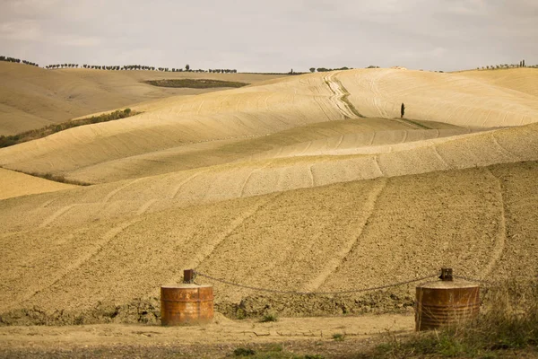 Lantlig Natur Toscana Med Cypressträ — Stockfoto