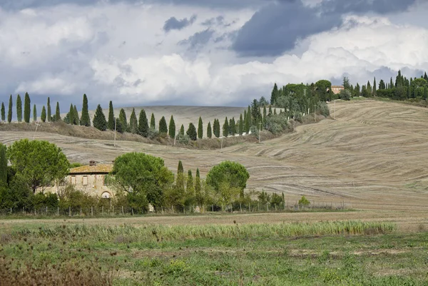 Paisaje Rural Toscana Con Ciprés — Foto de Stock