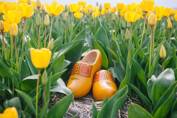 Close up typical dutch national wooden clogs . — Stock Photo, Image