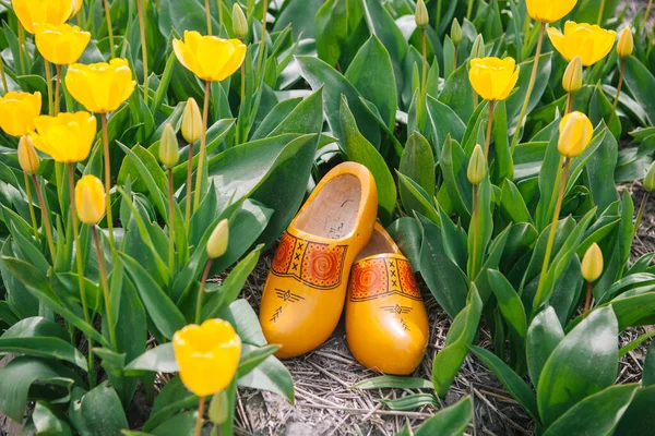 Close up typical dutch national wooden clogs . — Stock Photo, Image