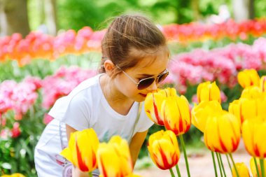Lale tarlalarında lale çiçeği kokan güzel bir Hollandalı kız. Hollanda 'daki lale çiçeği tarlasında bir çocuk. Keukenhof 'da lale tarlası olan büyülü Hollanda manzaralı bir çocuk. Seyahat ve bahar konsepti.