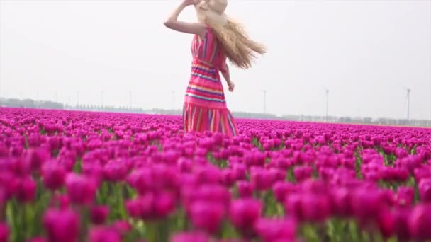 비디오 줄무늬 아름답고 여자가 네덜란드의 자주색 — 비디오
