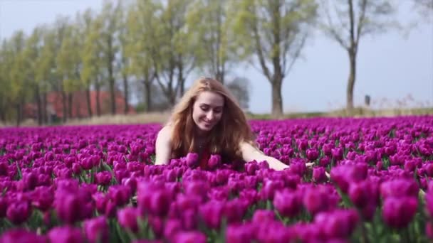 4K视频 神奇的腹地风景 美丽的长长的红头发女人穿着条纹衣服 女孩手持五彩缤纷的郁金香花 站在紫色的郁金香地里 春天的概念 — 图库视频影像