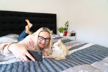 Bir kadın, arkadaşıyla ya da ailesiyle görüntülü konuşma için akıllı telefon kullanıyor. Kız blogcu köpek yatak odasında oturup takipçilerle konuşuyor. Vlogger webinar kaydediyor. Yatağa otur ve akıllı telefon ara.