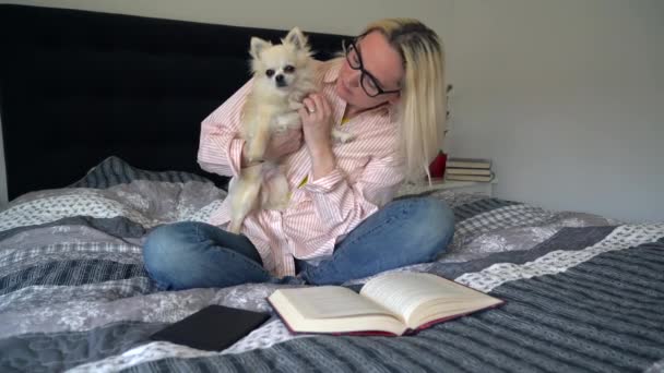 Mujer Sentada Una Acogedora Cama Con Perro Chihuahua Sosteniendo Libro — Vídeos de Stock