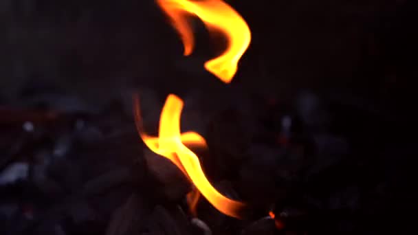 烤肉烤架上燃烧的煤块的特写 在家里的壁炉里生火 野餐烧烤和烧烤 煤开始燃烧了 煤开始燃烧了 炽热的煤和烟熏的火焰 — 图库视频影像