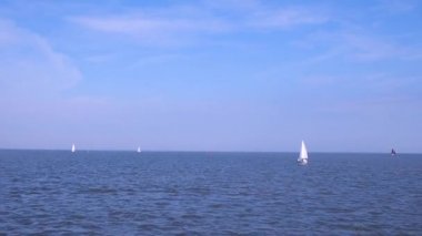 Yat ve tekne güneşli bir günde açık denizde yol alıyor. Raft Regatta ya da denizde yelken yarışı. Güzel okyanusta ufuktaki yelkenli. Sloops beyaz yelkenin altında açık denizde yüzüyor.