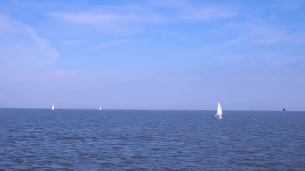 Yacht Und Bootsfahrt Auf Dem Offenen Meer Sonnigen Tagen Floßregatta — Stockvideo