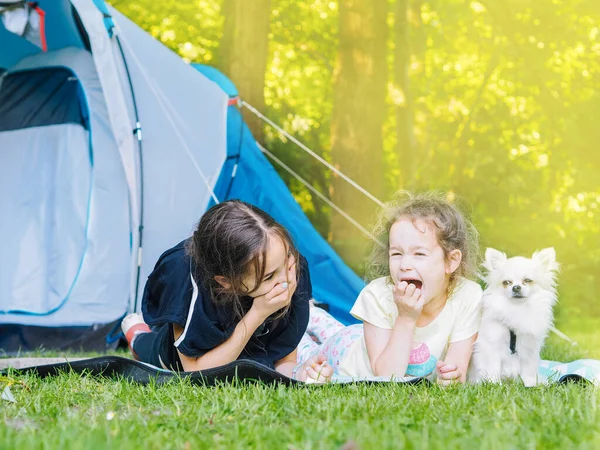 Camp in tent with children - girls sisters with little dog chihuahua sitting together near tent. Travelers sit in summer forest. Traveling with kids. Camping outdoors tourism and vacation concept.