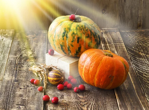 Pumpkins, melon and red berries on a wooden background — Stock Photo, Image