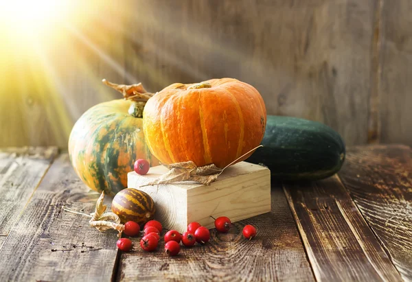 Pumpkins, melon and red berries on a wooden background — Stock Photo, Image