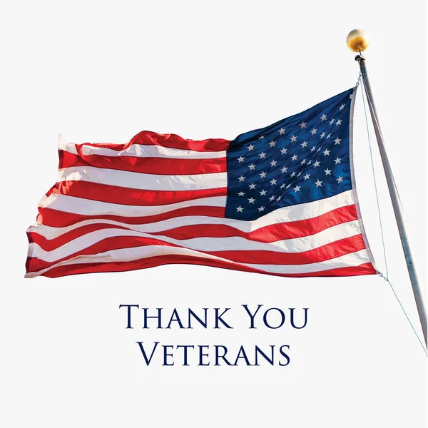 感谢你们老兵们高举美国国旗的假日旗帜 矢量说明 — 图库矢量图片